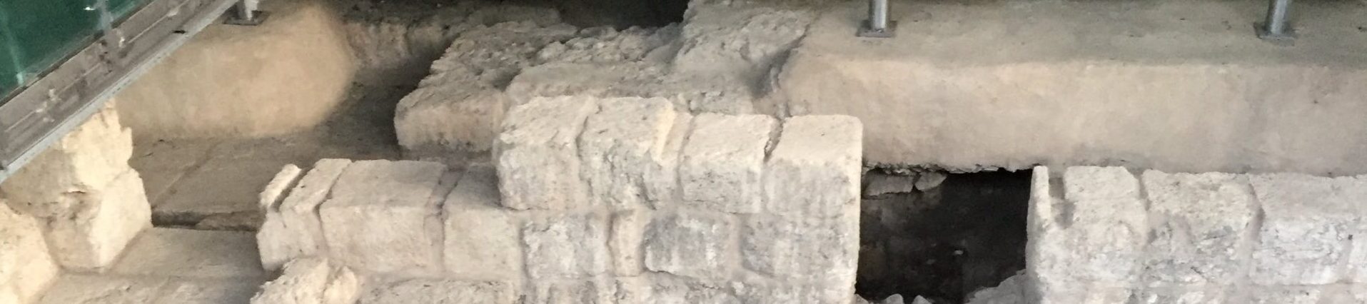 Bir Eğitimcinin Sitesi